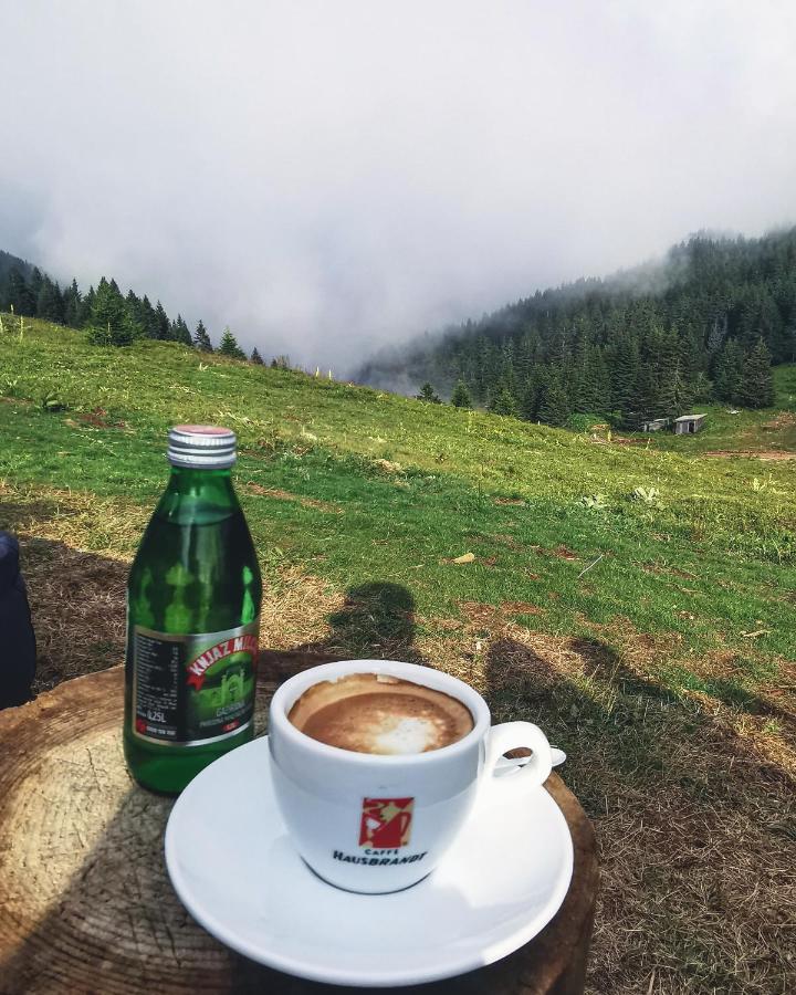 Milmari Resort - Apartman L43 Kopaonik Luaran gambar