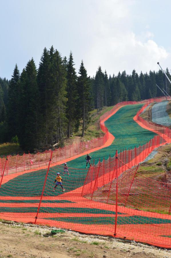 Milmari Resort - Apartman L43 Kopaonik Luaran gambar